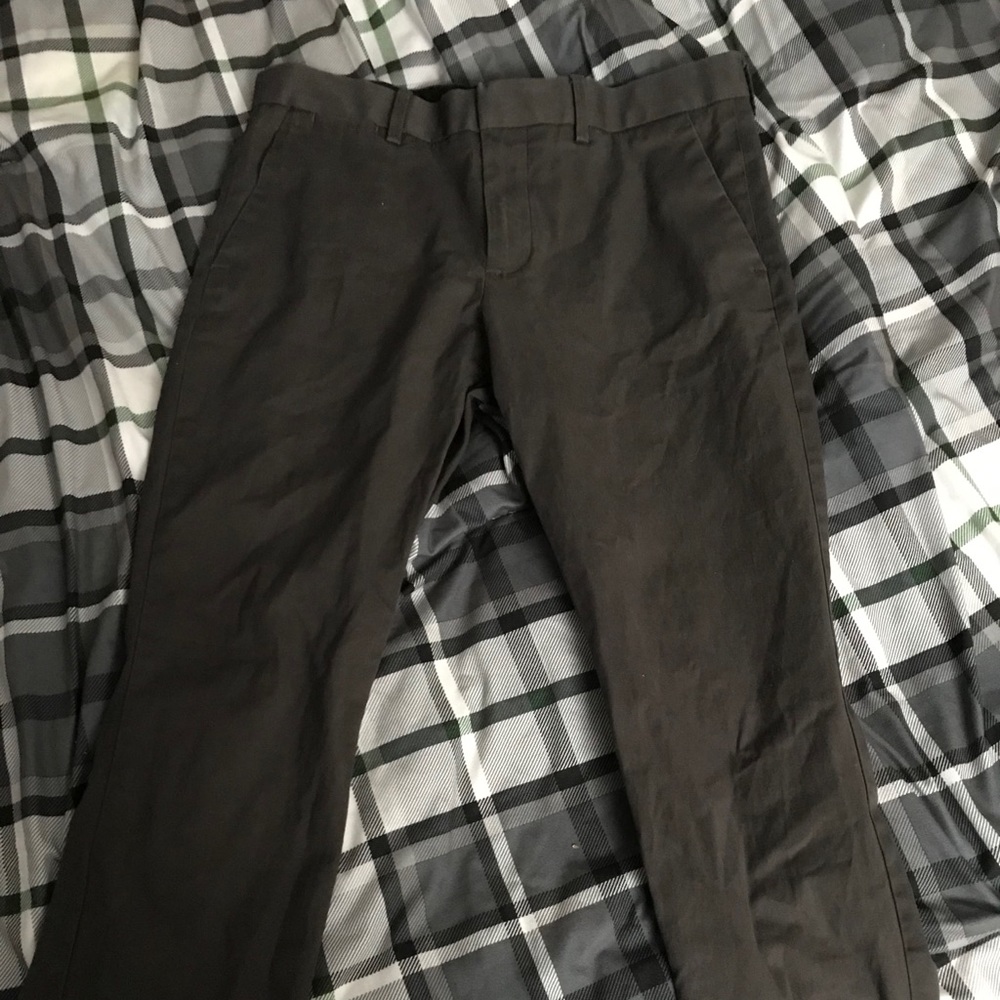 Express dress pants